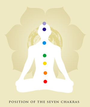Position of the Seven Chakras
